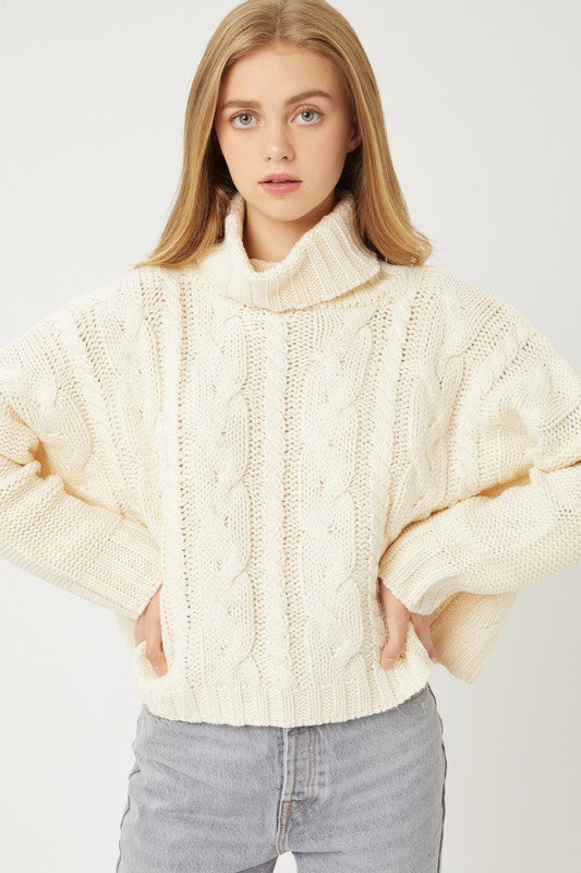 Everyday Cable Knit Turtleneck Sweater