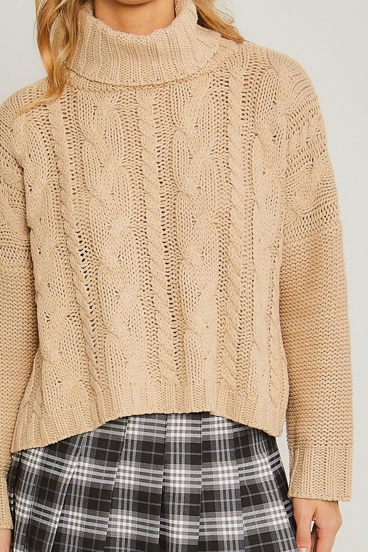 Everyday Cable Knit Turtleneck Sweater