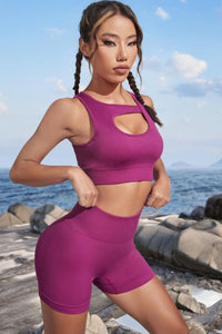 Sports Bra Crop Top and Matching Active Shorts Set